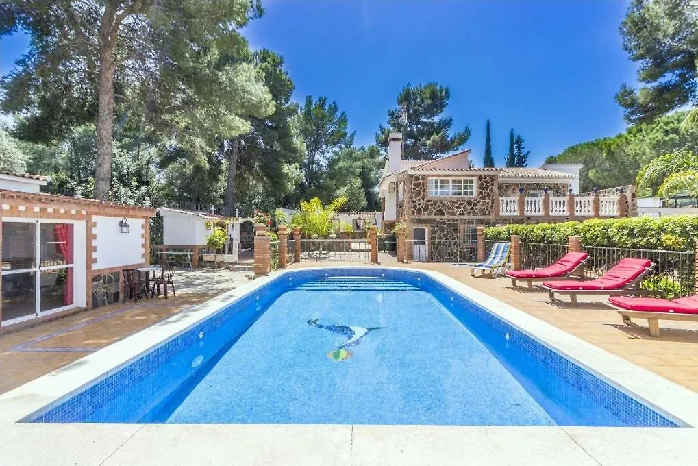 Apartamentos Oasis Malaga Apartment