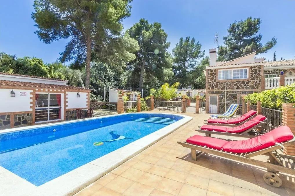 Apartment Apartamentos Oasis Malaga Spain